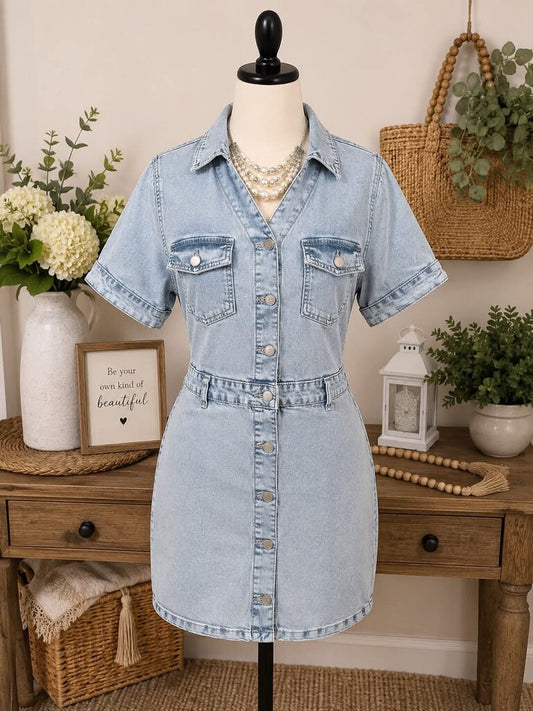 Celebrity Pink Denim Dress Size M