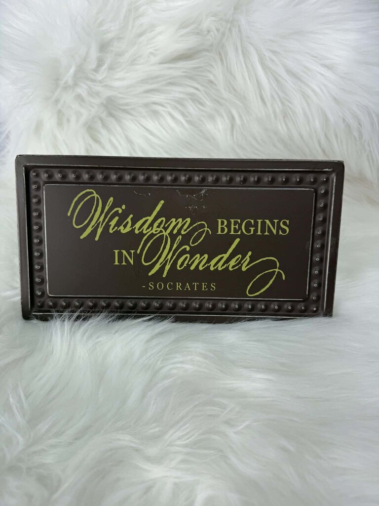 Wisdom Begins In Wonder Metal Decor