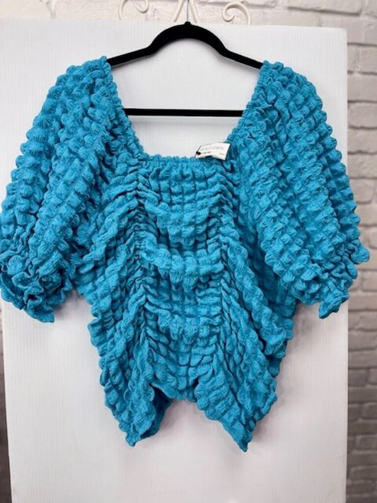 Textured Puffy Sleeve Top