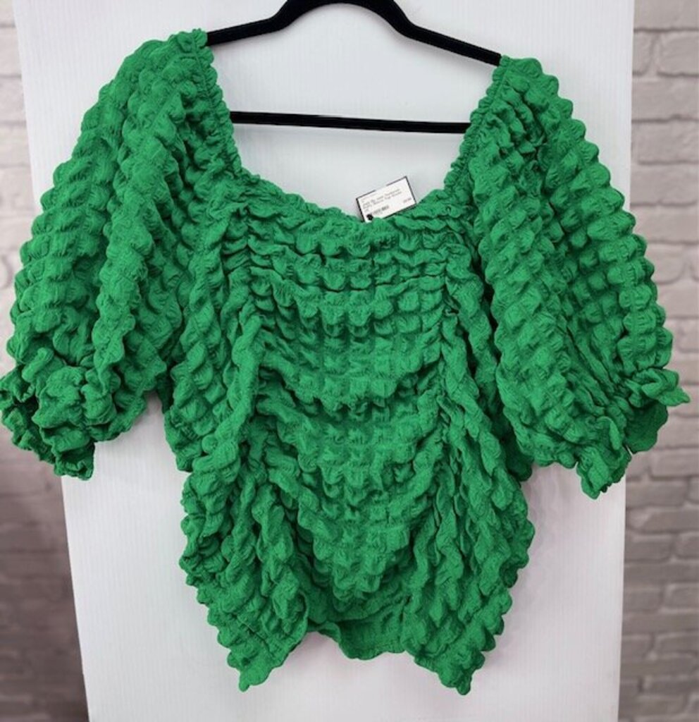 Textured Puffy Sleeve Top
