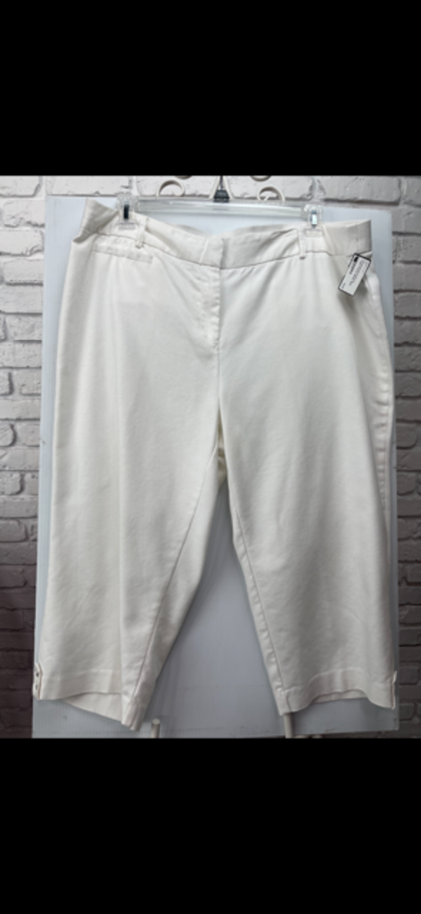 Dress Capri Pants
