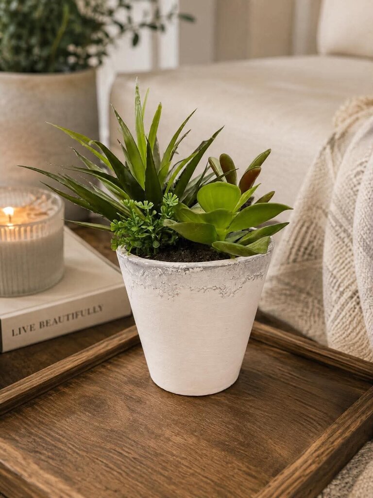 Faux Succulents w/ Ceramic Vase