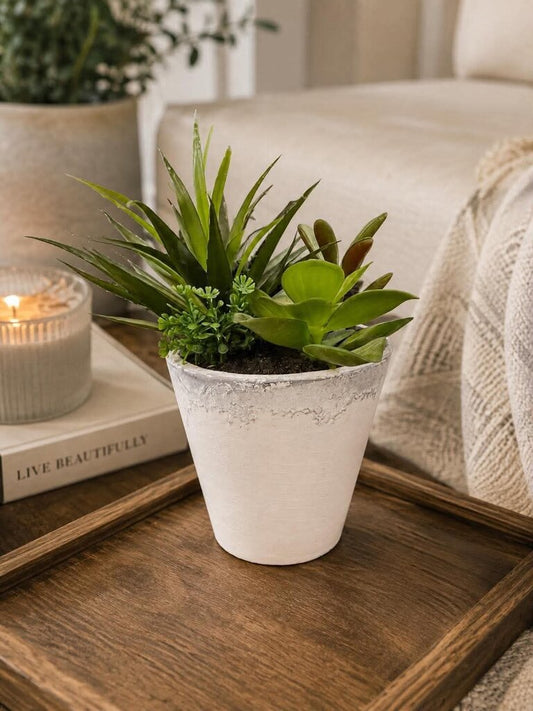 Faux Succulents w/ Ceramic Vase