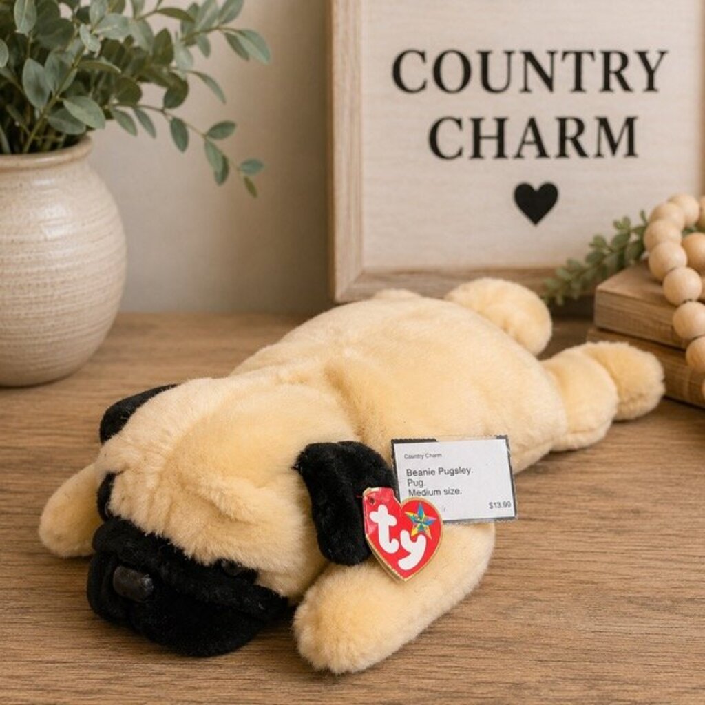 TY Beanie Pugsley. medium size.