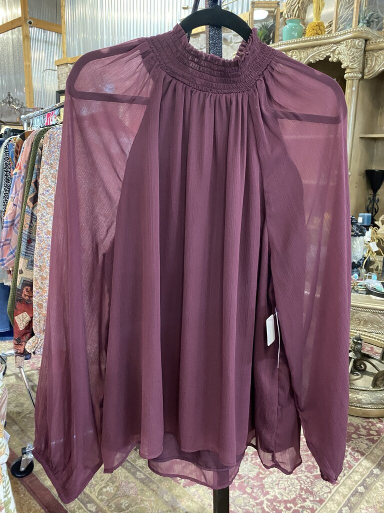 Sheer Sleeve Smocked Collar Top New!!