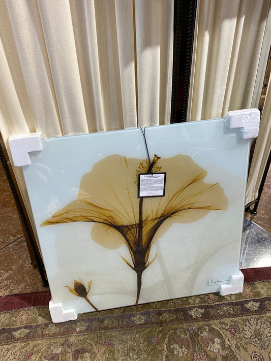 Albert Koetsier X-ray Art. Retail $175